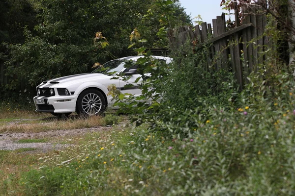 Chevrolet Mustang в селі — стокове фото