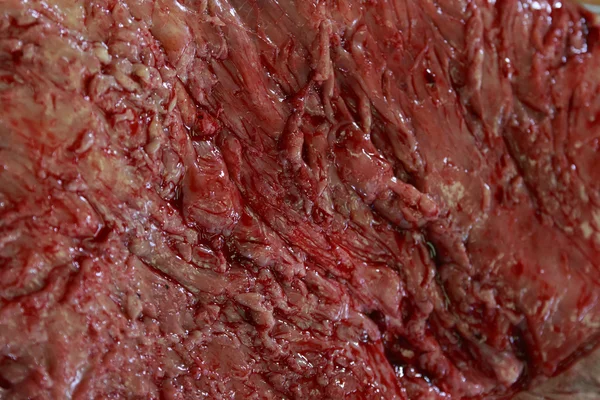 Tekstur daging — Stok Foto