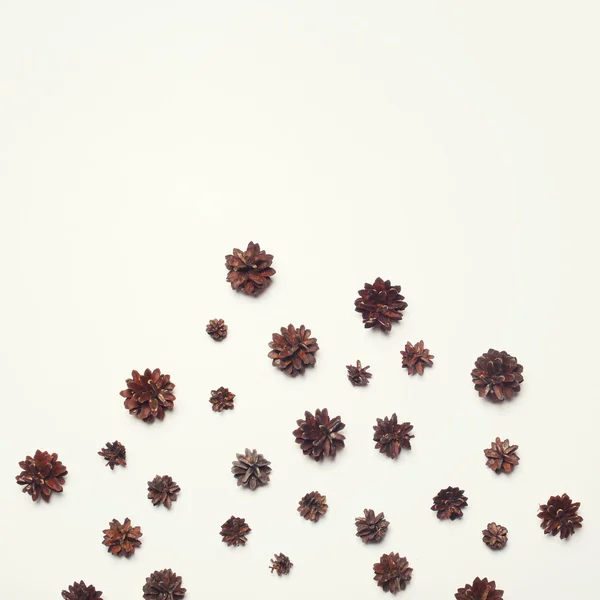 Muchos conos de pino abstractos aislados sobre un fondo blanco —  Fotos de Stock