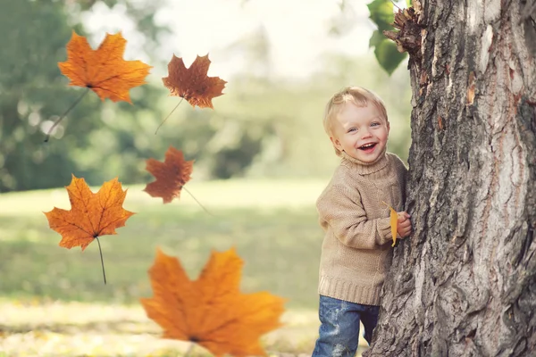 Ritratto di bambino felice che gioca divertendosi nella calda giornata autunnale wi — Foto Stock