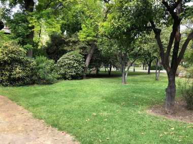 Ağaçlı ve çimenli güzel bir park, rahat doğa kentsel alan dinlenmek için yeşil çimenler.