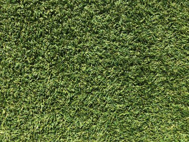 Taze yeşil çimen, arka plan için çimen dokusu, doğa konsepti.