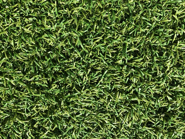 自然の概念 背景のための新鮮な緑の草のテクスチャ — ストック写真