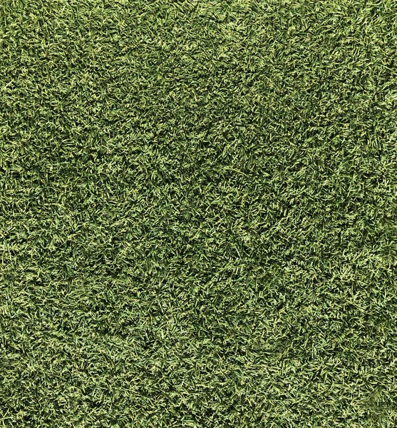 自然の概念 背景のための新鮮な緑の草のテクスチャ — ストック写真