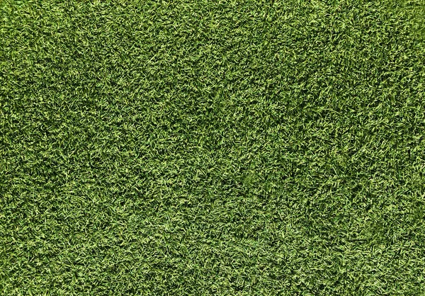 Nature Concept Fresh Green Grass Texture Background — Stock Photo, Image