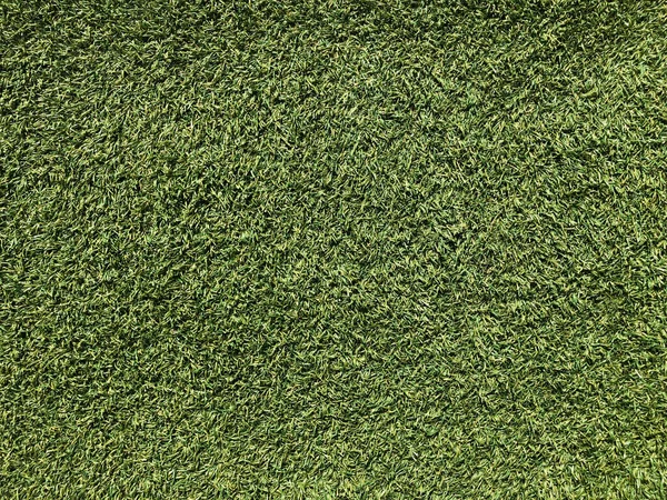 Green Grass Texture Background Fresh Lawn — Stock Photo, Image