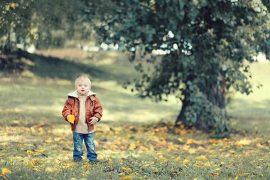 sonbahar fotoğraf şirin çocuk parkı