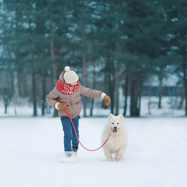 Rapaz adolescente feliz correndo e brincando com o cão branco Samoyed — Fotografia de Stock