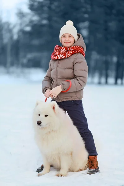 Feliz adolescente niño caminando con blanco samoyedo perro al aire libre en th —  Fotos de Stock