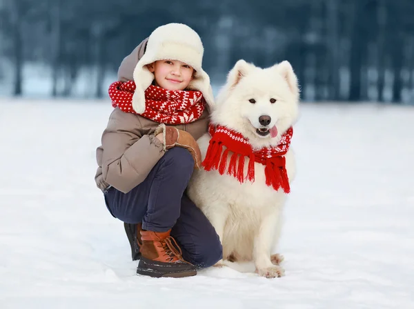Счастливый подросток, гуляющий с белой самоедской собакой — стоковое фото