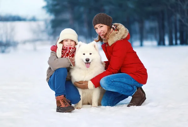 Mooie en gelukkige familie, moeder en zoon lopen met witte samoye — Stockfoto