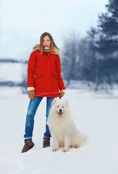 赤いジャケット ホワイト サモエド犬屋内歩行のきれいな女性 — ストック写真