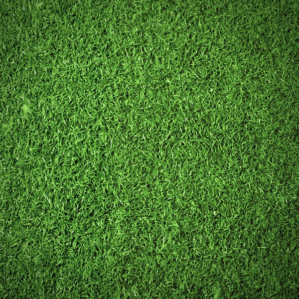 Green grass background texture — Stock Photo, Image