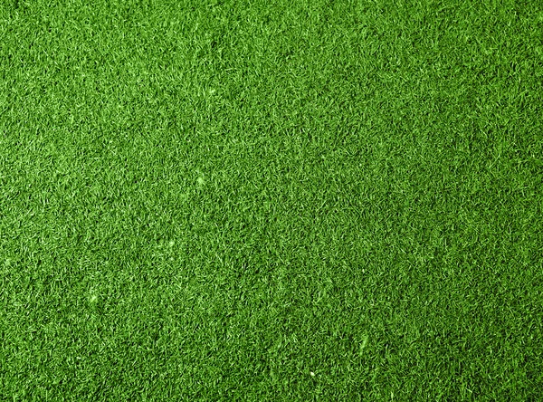 Green grass background — Stock Photo, Image