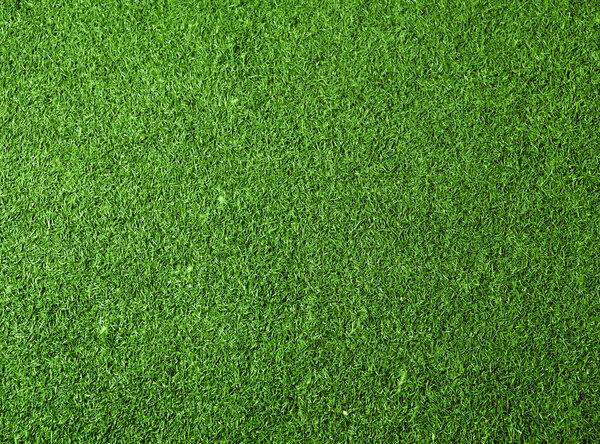 Green grass background