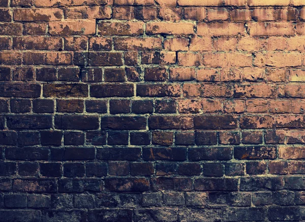 Grunge bricks wall — Stock Photo, Image