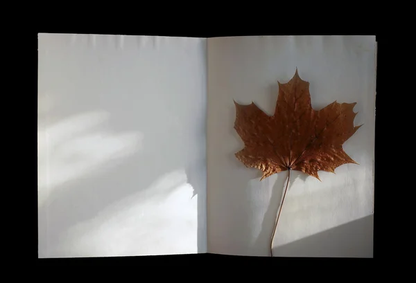 Осенняя книга с кленовым листом — стоковое фото