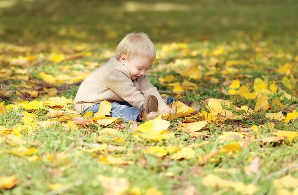 Bebé bonito brincando com folhas amarelas no parque de outono — Fotografia de Stock