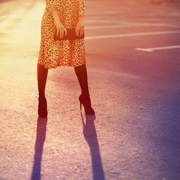 スタイリッシュなファッション概念、ヒョウ ドレス w のエレガントなきれいな女性 — ストック写真
