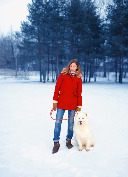 Winter park, ładna kobieta z Samoyed pies na zewnątrz — Zdjęcie stockowe