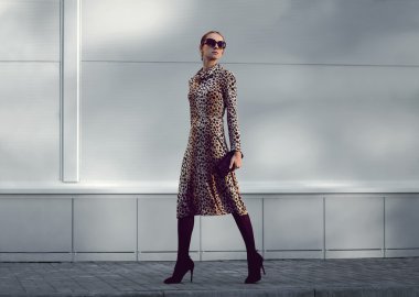 Sokak moda kavramı - leopar elbiseli çok şık kadın bir