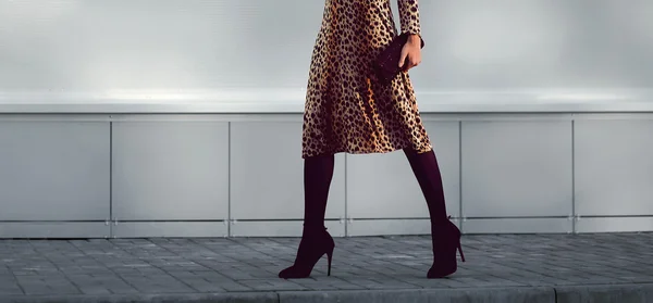 Уличная мода - стильная элегантная женщина в леопардовом платье — стоковое фото