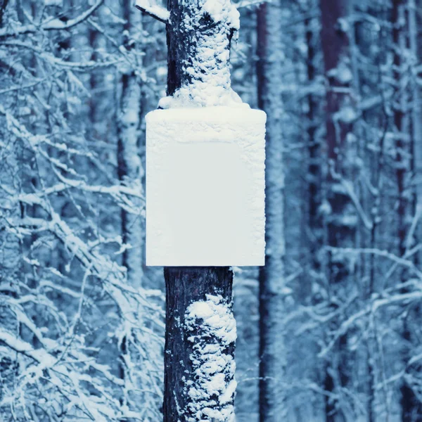 Winter background snowy board on the tree — Stock Photo, Image