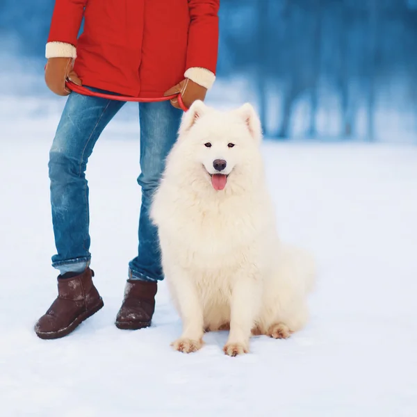 Natale, inverno e la gente concetto proprietario donna a piedi con — Foto Stock