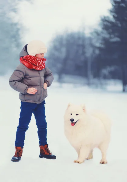 Invierno y concepto de la gente - niño con el perro Samoyedo blanco al aire libre —  Fotos de Stock