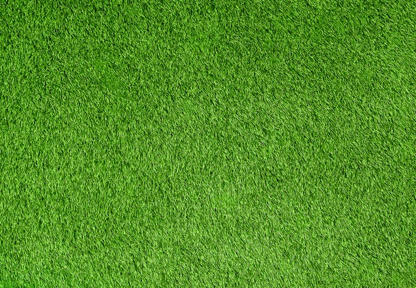 Green grass background — Stock Photo, Image