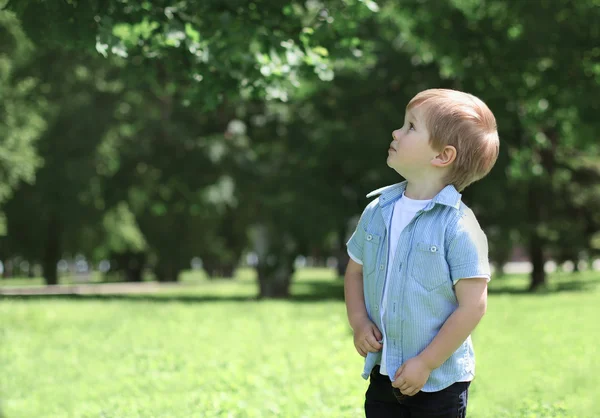 Ragazzino bambino all'aperto nel verde del parco soleggiato guardando in alto, divertente — Foto Stock