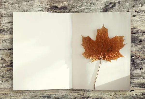 Fundo de outono, página vazia de livro e folha de bordo amarelo em t — Fotografia de Stock