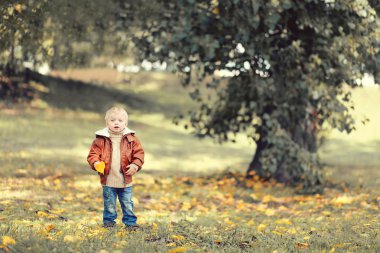 Sarı sonbahar p ağacı yaprağı ile küçük şirin çocuk