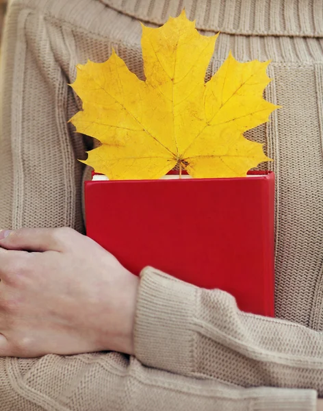 Mãos femininas segurando livro com outono amarelo folha de bordo close-up — Fotografia de Stock