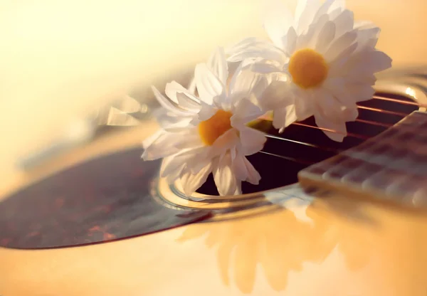 Desfocado enevoado foto ensolarada de guitarra acústica e flor branca — Fotografia de Stock