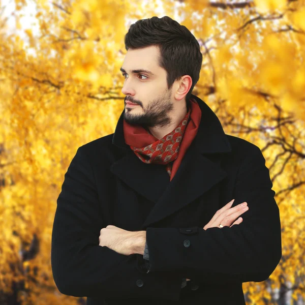 Retrato del hombre barbudo guapo en el parque amarillo del otoño —  Fotos de Stock