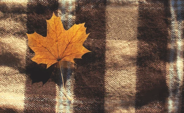 Fondo autunnale con foglia d'acero gialla sul plaid, vista dall'alto — Foto Stock