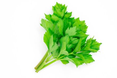 Beyaz arka planda izole edilmiş bir grup kereviz filizi.