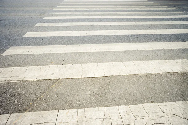 Zebra geçiş yolu üzerinde — Stok fotoğraf