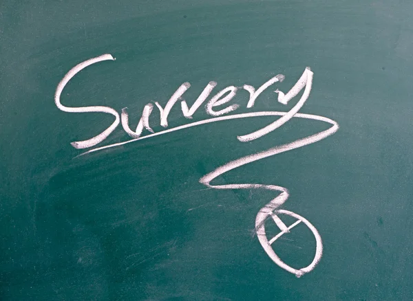 Survey and mouse sign drawn — Stock Photo, Image