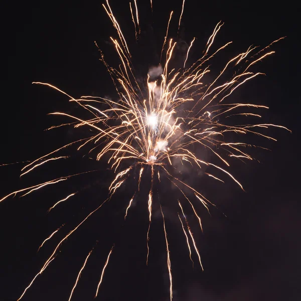 Grupo de coloridos fuegos artificiales del 4 de julio . — Foto de Stock