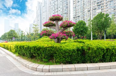 Binaların lujiazui Finans Merkezi