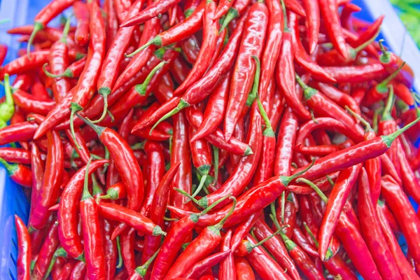 Red Cayenne pepper — Stock Photo, Image