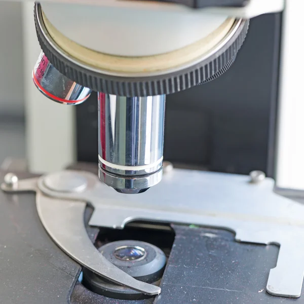 Завдання лабораторії мікроскоп — стокове фото