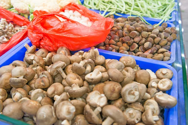 Fresh vegetables market — Stock Photo, Image