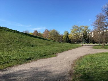 Açık mavi bahar gökyüzünün altında kısa çimlerle kaplı bir tepeyi çevreleyen çıplak dalları veya genç yaprakları olan bir asfalt park yolu; yürümek ve gevşemek için bir fotoğraf ve makale illüstrasyonu.