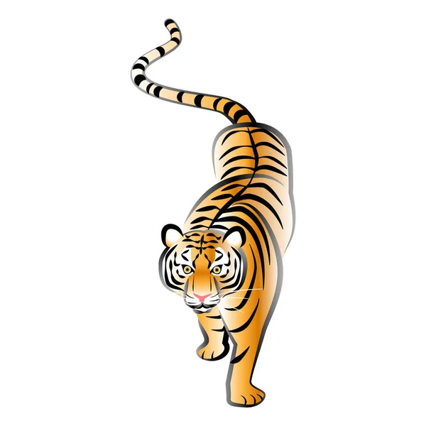 Tigre Toque Cepillo Ilustración Vectorial — Vector de stock
