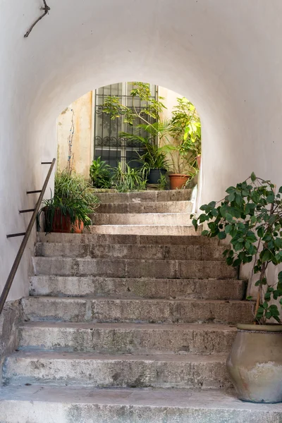 Escadas e porta — Fotografia de Stock