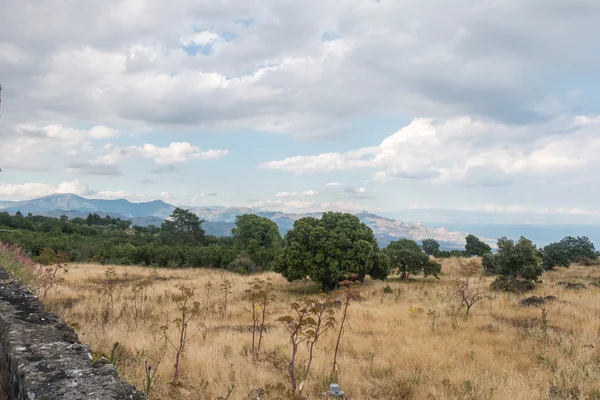 Kustlandschap — Stockfoto