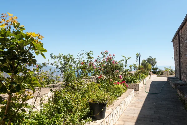 Terraza con jardín — Foto de Stock